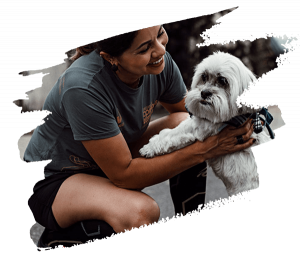 pet sitting teammate 2