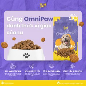 Thức ăn cho cún trên 12 tháng