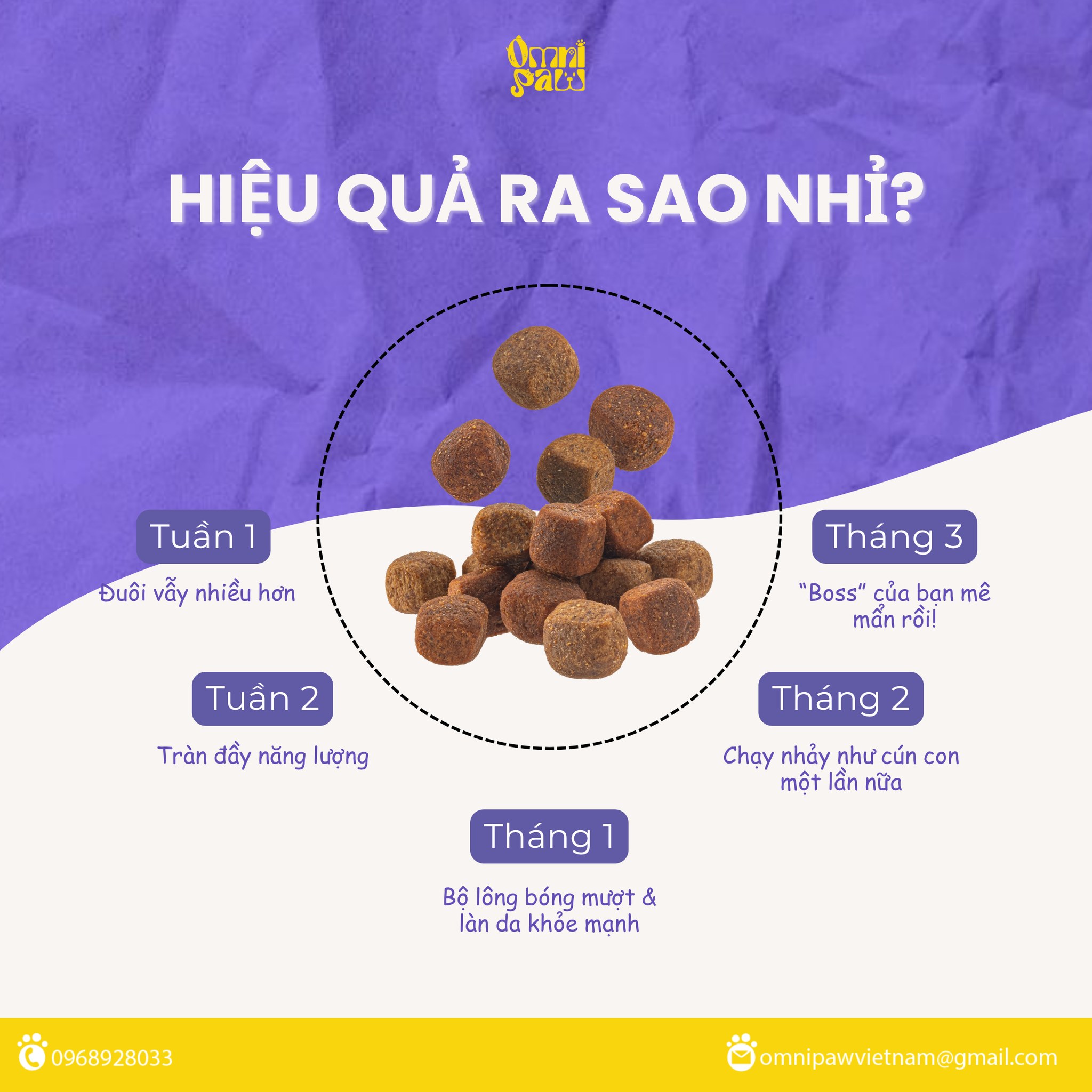 Thức ăn cho cún trên 12 tháng - Ảnh 4