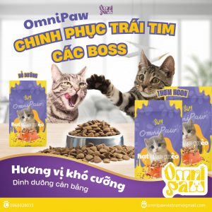 Thức ăn cho mèo trên 12 tháng